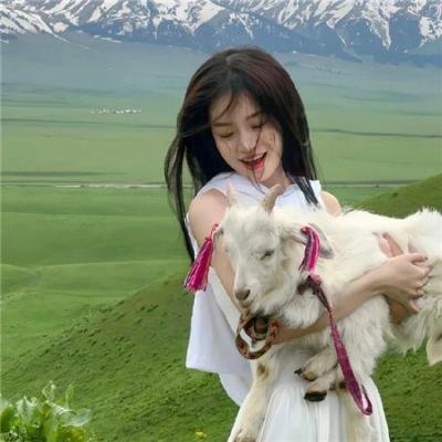 亚曼达厌世系